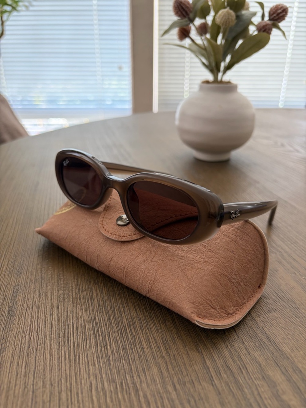 Ray-Ban RB4441D Bio-Based Sunglasses - Brown - Picture 6 of 7